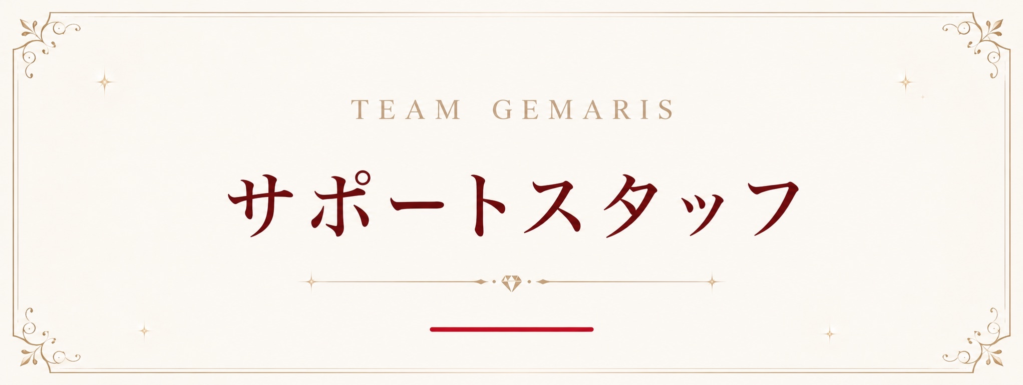 TEAM GEMARIS サポートスタッフ